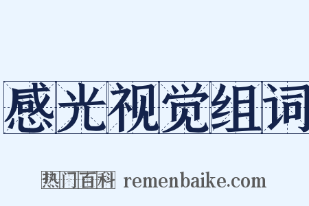 感光视觉组词是什么意思的图片